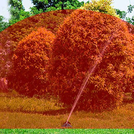 Heiluva puutarhasadetin 171200