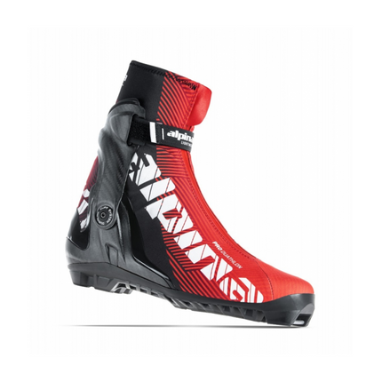 Kengät ALPINA PRO DP PLUS 2021, koko 46