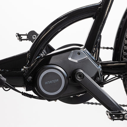 Sähkökäyttöinen CARGOBIKE Delight