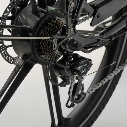 SWEDEN Flex Dogin sähkölaatikko CARGOBIKE