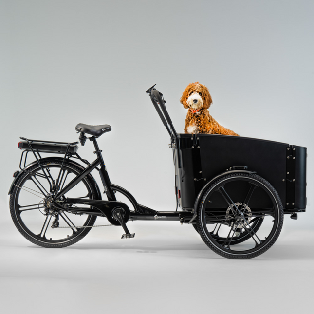 SWEDEN Flex Dogin sähkölaatikko CARGOBIKE
