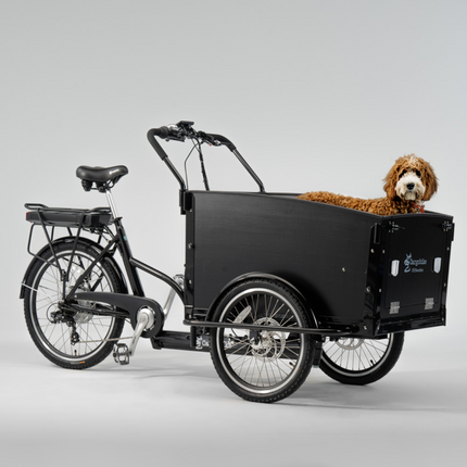 SWEDEN Classic Dogin sähkölaatikko CARGOBIKE