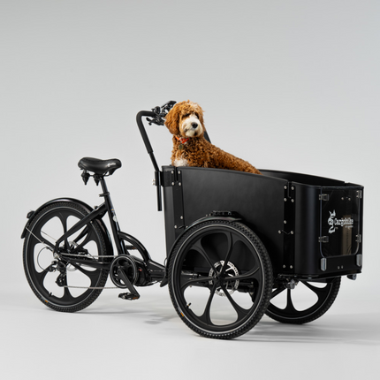SWEDEN Delight Dogin sähkölaatikkopyörä CARGOBIKE