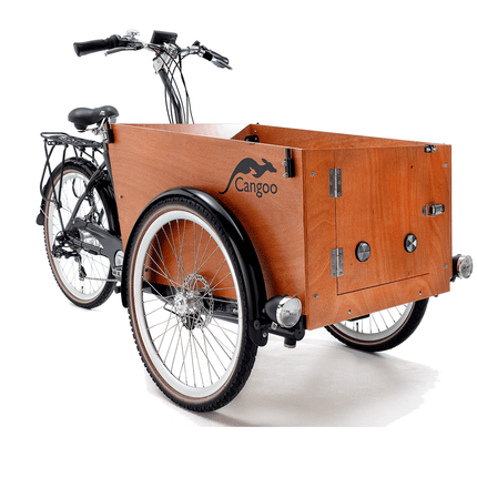 Sähkökäyttöinen Cangoo Easy, vihreä