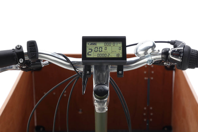 Sähkökäyttöinen Cangoo Easy, vihreä