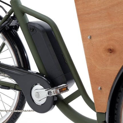 Sähkökäyttöinen Cangoo Easy, vihreä