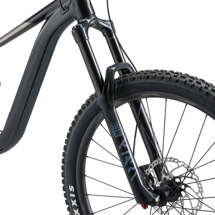 Maastopyörä GIANT Reign 29 2, musta/metalli (L)