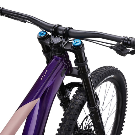 Maastopyörä GIANT Reign SX, Purple/Petra Clay (M)