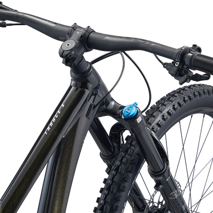 Maastopyörä GIANT Trance X 29 1, Panther (S)