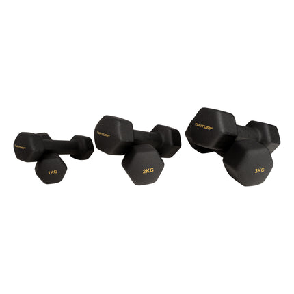 Käsipainosetti jalustalla Tunturi Centuri Neoprene Dumbellset 3Prs+Stand