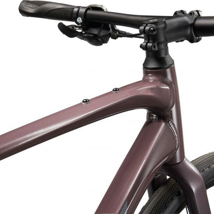 Polkupyörä GIANT FastRoad AR 3, 28" Charcoal Plum (XL)