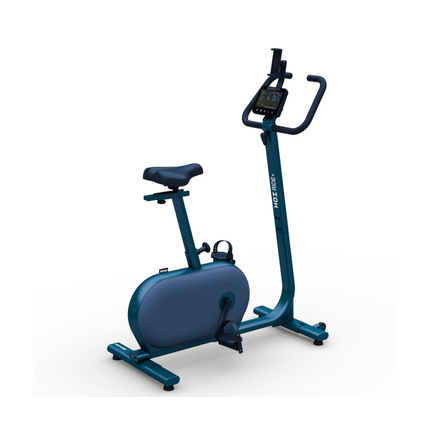 Kuntopyörä KETTLER HOI RIDE+, mustikanvihreä