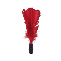 Collection image for: Ulkoliikunta