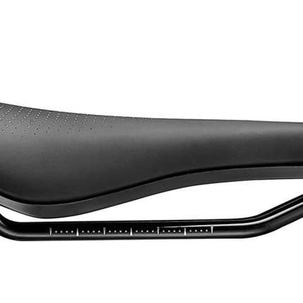 Satula jättiläinen