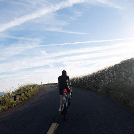 Takavalo GIANT RECON TL 100