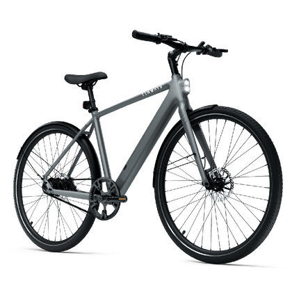 Sähköpyörä TENWAYS CGO600 PRO, vaaleanharmaa (M)