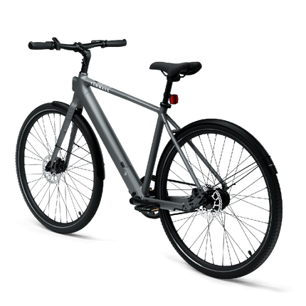 Sähköpyörä TENWAYS CGO600 PRO, vaaleanharmaa (XL)