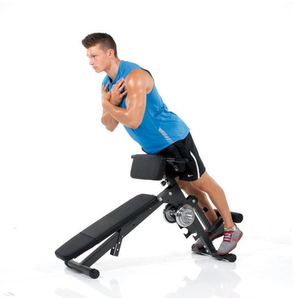Treenipenkki FINNLO by Hammer Ab&Back Trainer