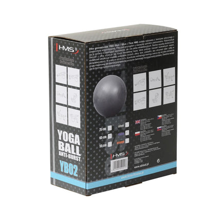 Voimistelupallo HMS YB02N Gym Ball 65 cm, violetti