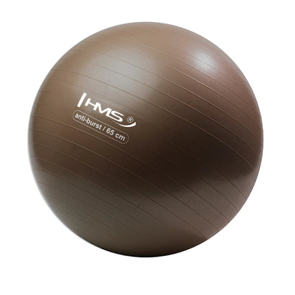 Voimistelupallo HMS YB02N Gym Ball 65 cm, ruskea