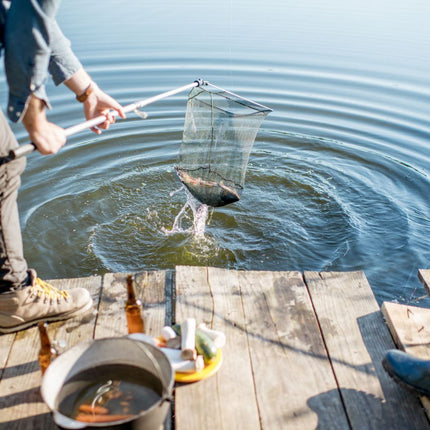 Bluegarden kokoontaitettava teleskooppinen laskuverkko 190cm
