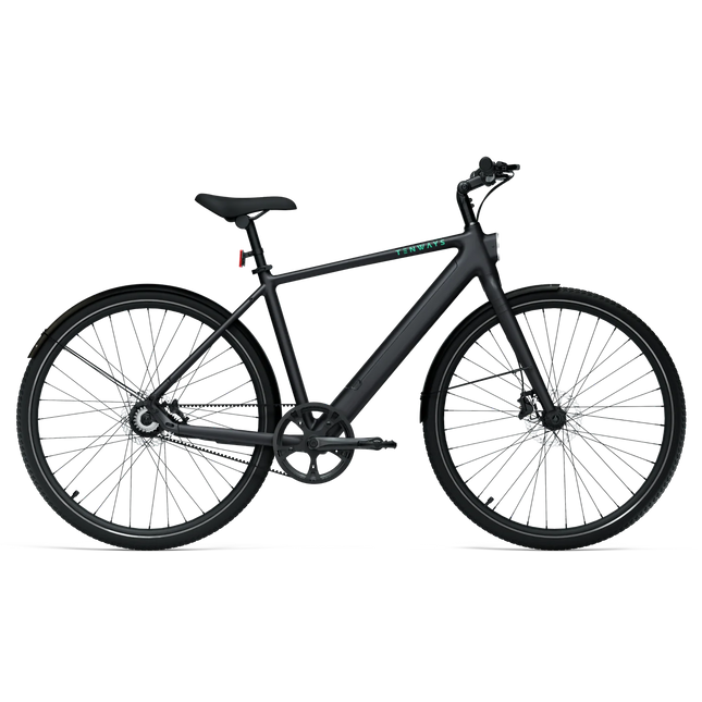 Sähköpyörä TENWAYS CGO600 PRO, Midnight Black (S)