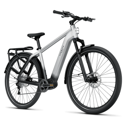 Sähköpyörä: TENWAYS AGO X, 29" Gradient Silver (L)