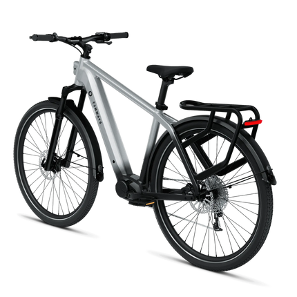 Sähköpyörä: TENWAYS AGO X, 29" Gradient Silver (L)
