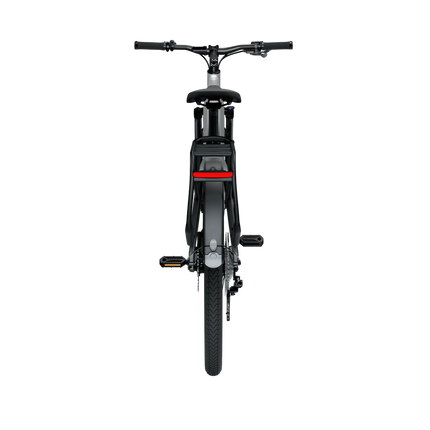 Sähköpyörä: TENWAYS AGO X, 29" Gradient Silver (XL)