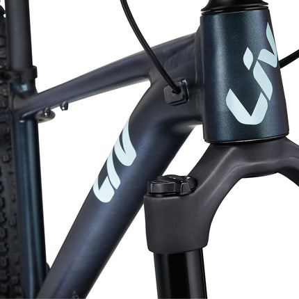 Polkupyörä LIV Lurra 29 1, Starry Night (L)