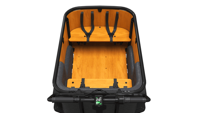 Sähkölaatikko CANGOO Buckle Up