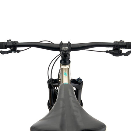 Kona Honzo 29" maastopyörä, kiiltävä metallinen tina (L)