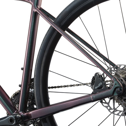 GIANT Contend AR 2 (2025) Maanteerauspyörä Dark Iridescent (M)