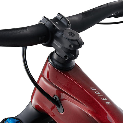 Maastikuratas GIANT Reign Advanced 2, 29" Sangria/Hiili (XL)