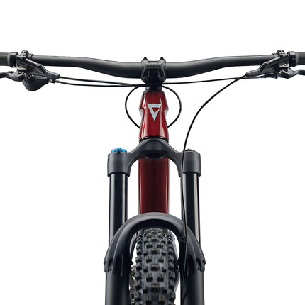 Maastikuratas GIANT Reign Advanced 2, 29" Sangria/Hiili (S)