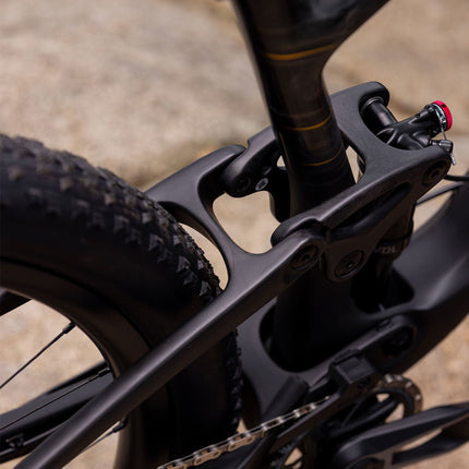 Maastopyörä LIV Pique Advanced 29 1, Raw Carbon (XS)