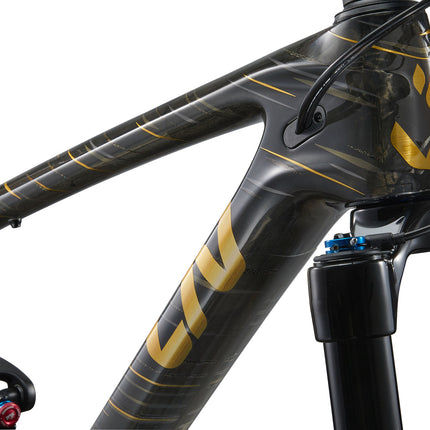 Maastopyörä LIV Pique Advanced 29 1, Raw Carbon (S)