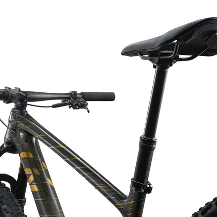 Maastopyörä LIV Pique Advanced 29 1, Raw Carbon (L)