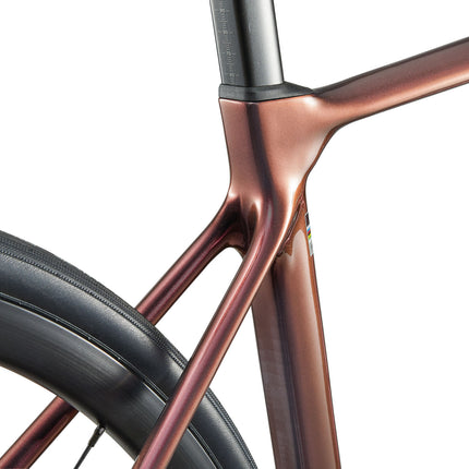 Naisten maantiepyörä LIV Langma Advanced 1 QOM (2025) Mechanic Rose (S)