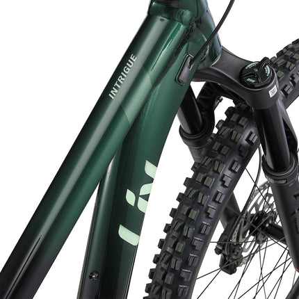 LIV Intrigue 29 1 naisten maastopyörä, Kelp Forest (L)