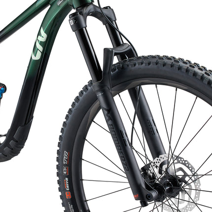 LIV Intrigue 29 1 naisten maastopyörä, Kelp Forest (M)