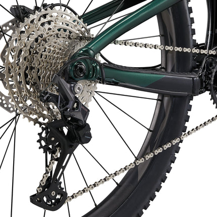 LIV Intrigue 29 1 naisten maastopyörä, Kelp Forest (L)