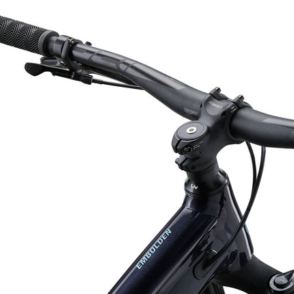 Naisten maastopyörä LIV Embolden 29 2, kylmä yö (S)