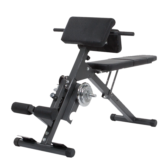 Treenipenkki FINNLO by Hammer Ab&Back Trainer